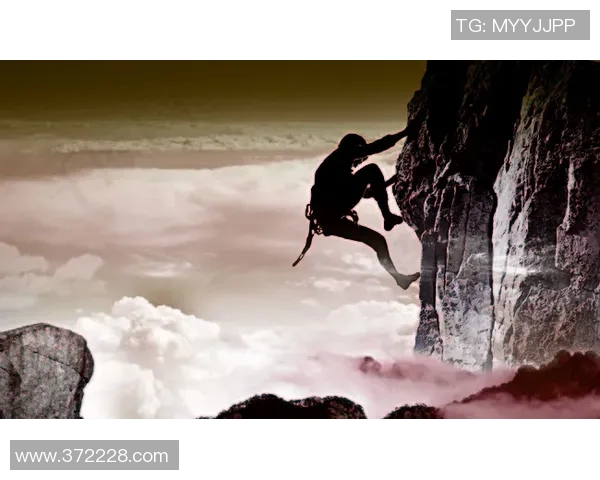 深圳攀岩队的团队协作探索与实践：攀登高峰的精神与力量